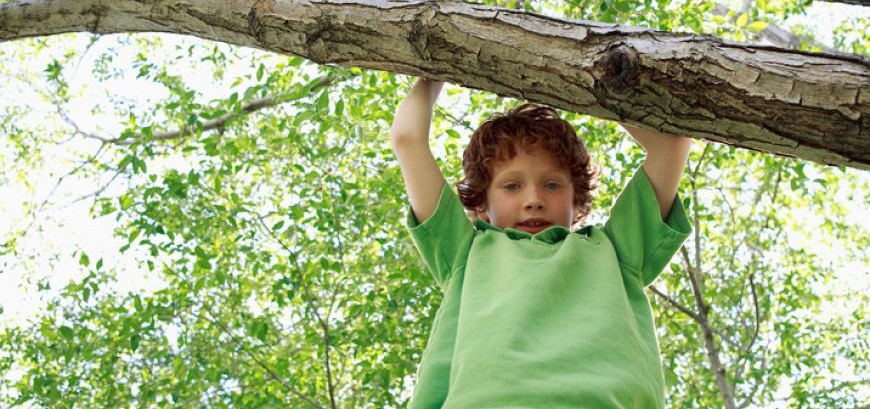 Kid in tree