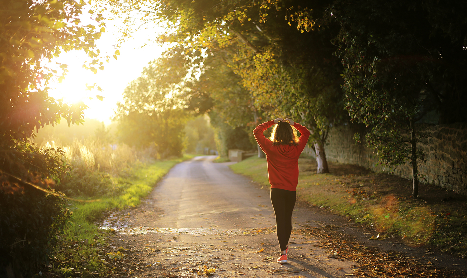 Healthy hint walk in the sunshine