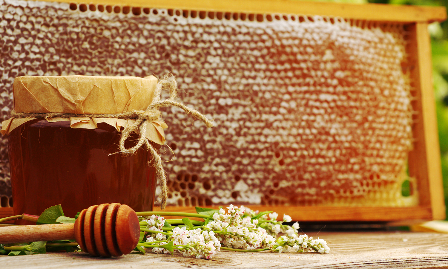 Buckwheat Honey