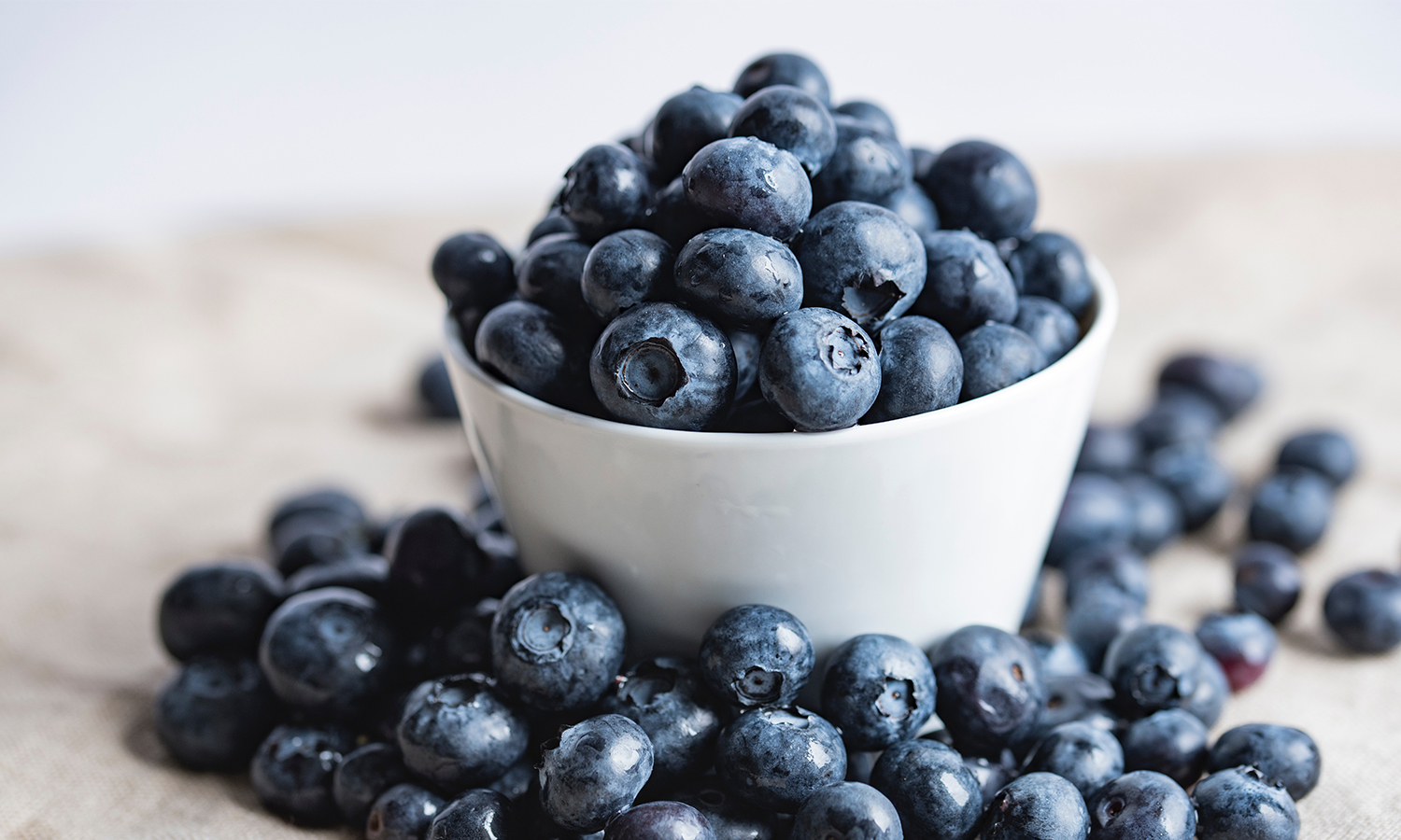 Bowl of berries